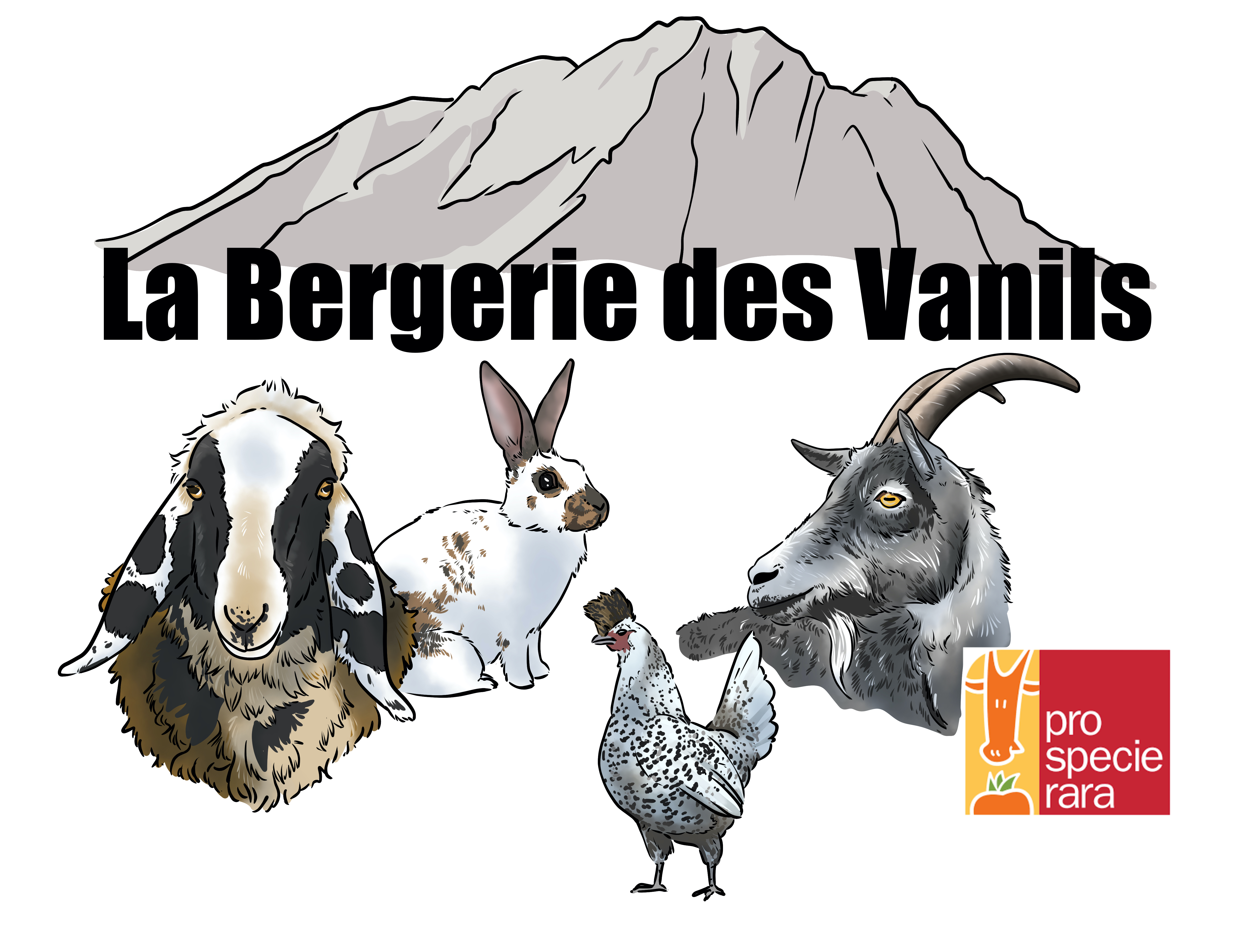 Logo La Bergerie des Vanils