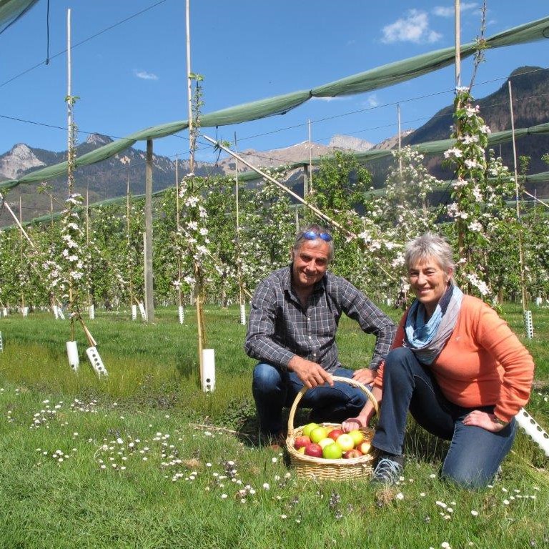 Logo Les Vergers d'Aigle et d'Yvorne
