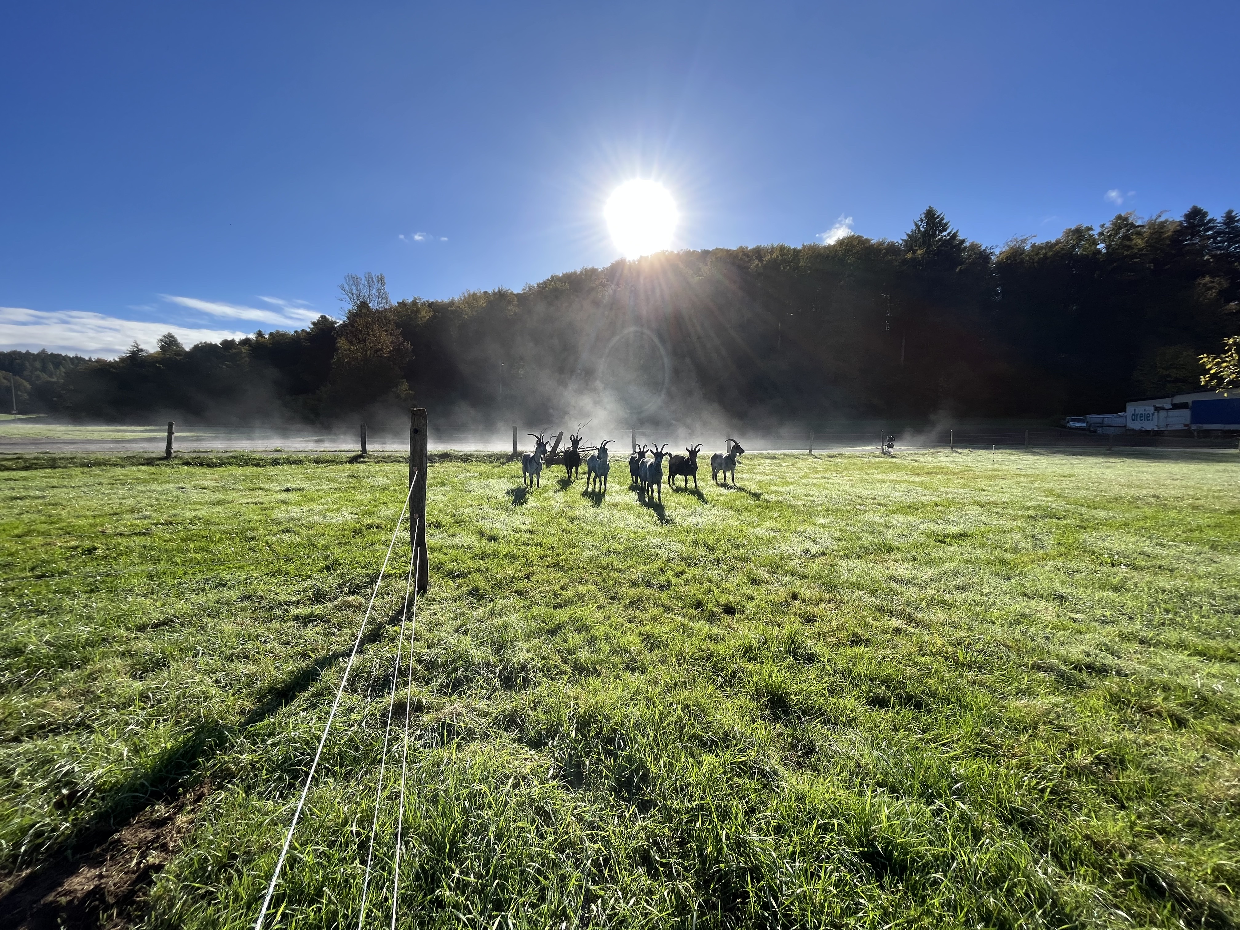 Logo Biohof am Schürberg