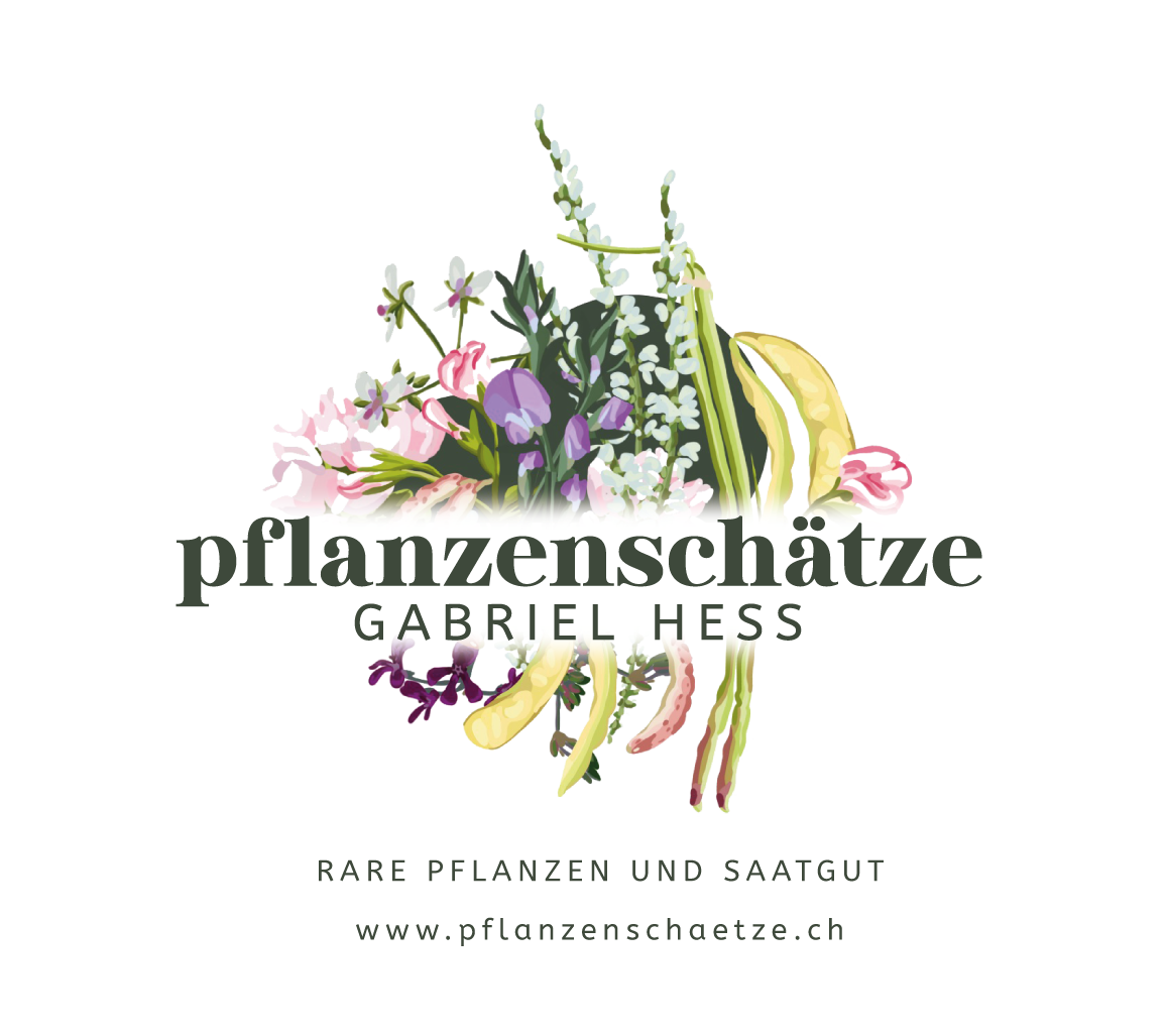 Logo Pflanzenschätze Gabriel Hess