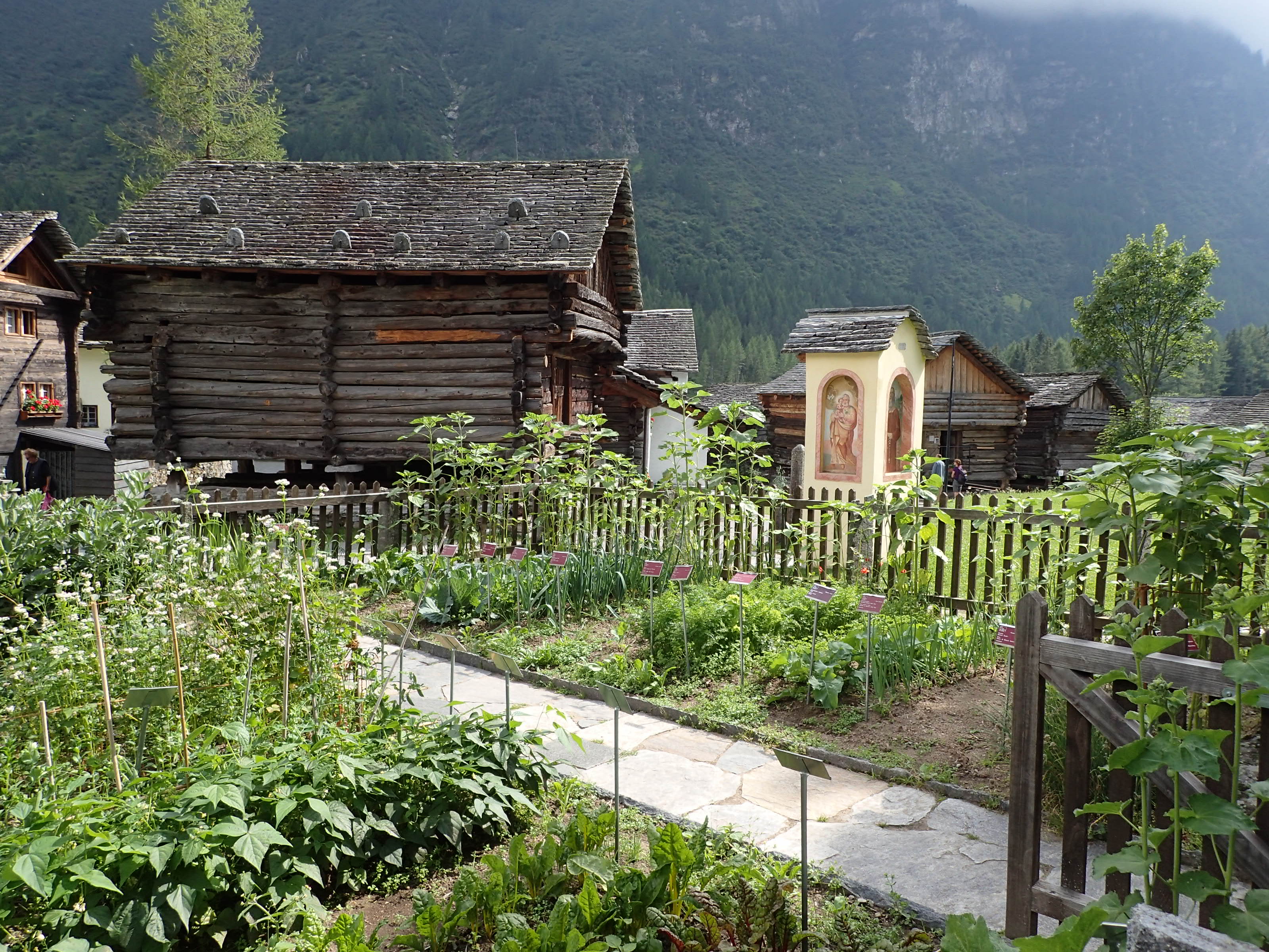 Logo Museum Walserhaus - Orto ProSpecieRara