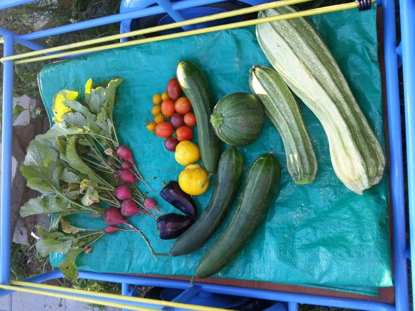 (g)artenreich | ProSpecieRara